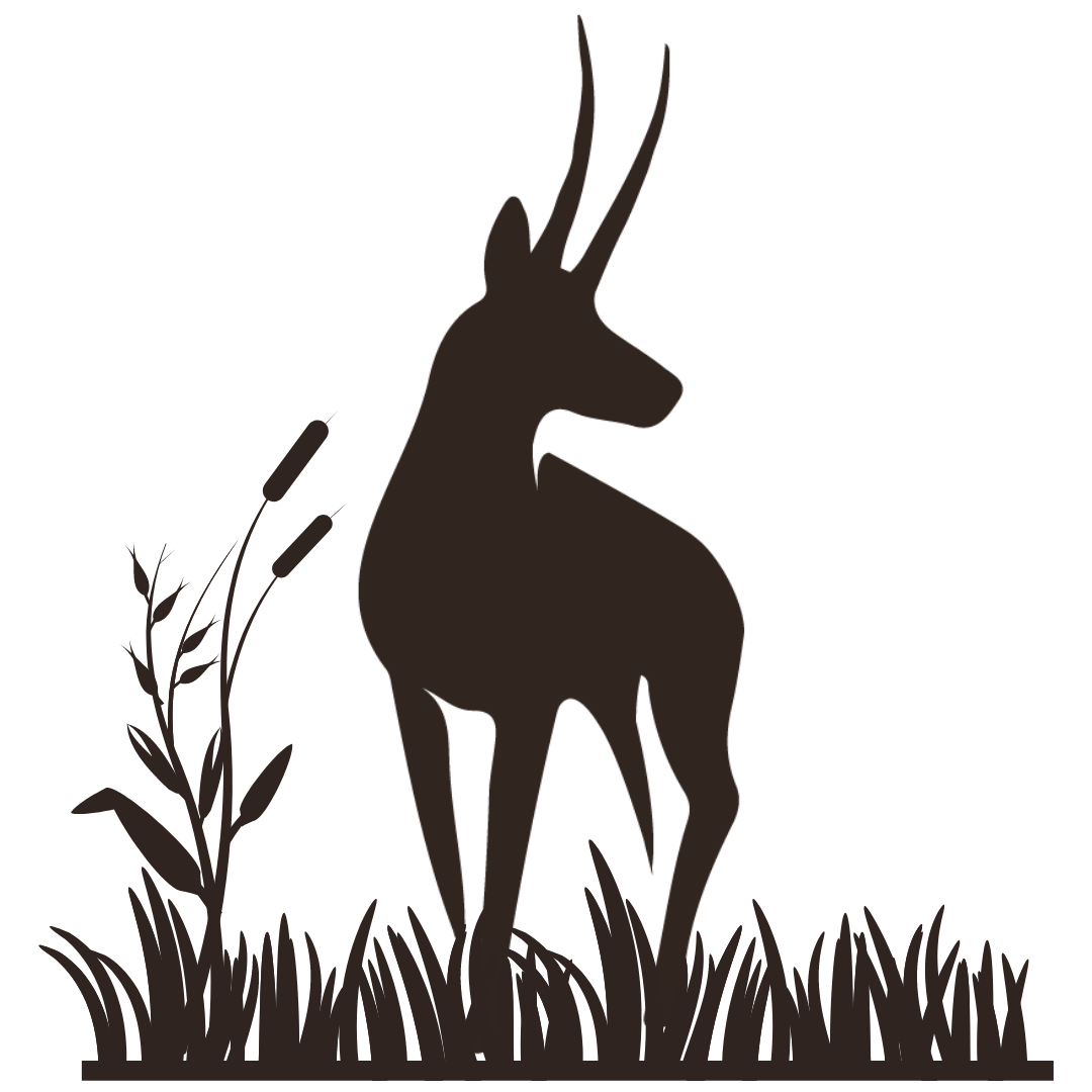 Tad More Sustainability Institute